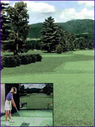 Virtual Golf 