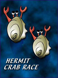 Hermit Crab Racing