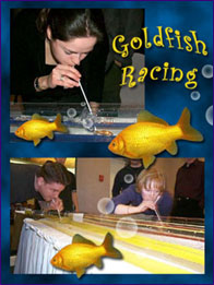 Goldfish Racing